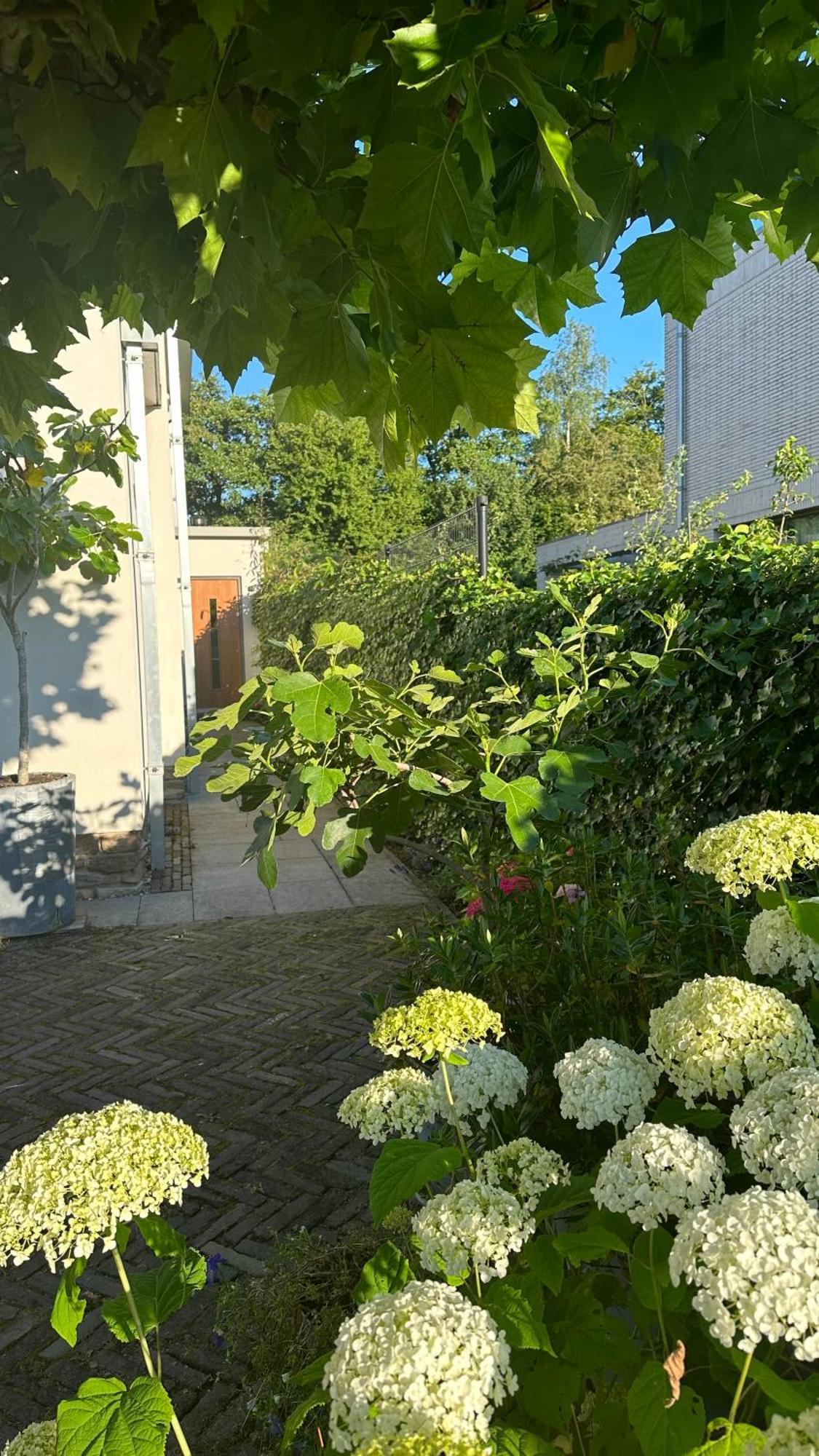 Luxe B&B "In De Schulp", Ontspan En Geniet Van Comfort En Stijl Amstelveen Esterno foto